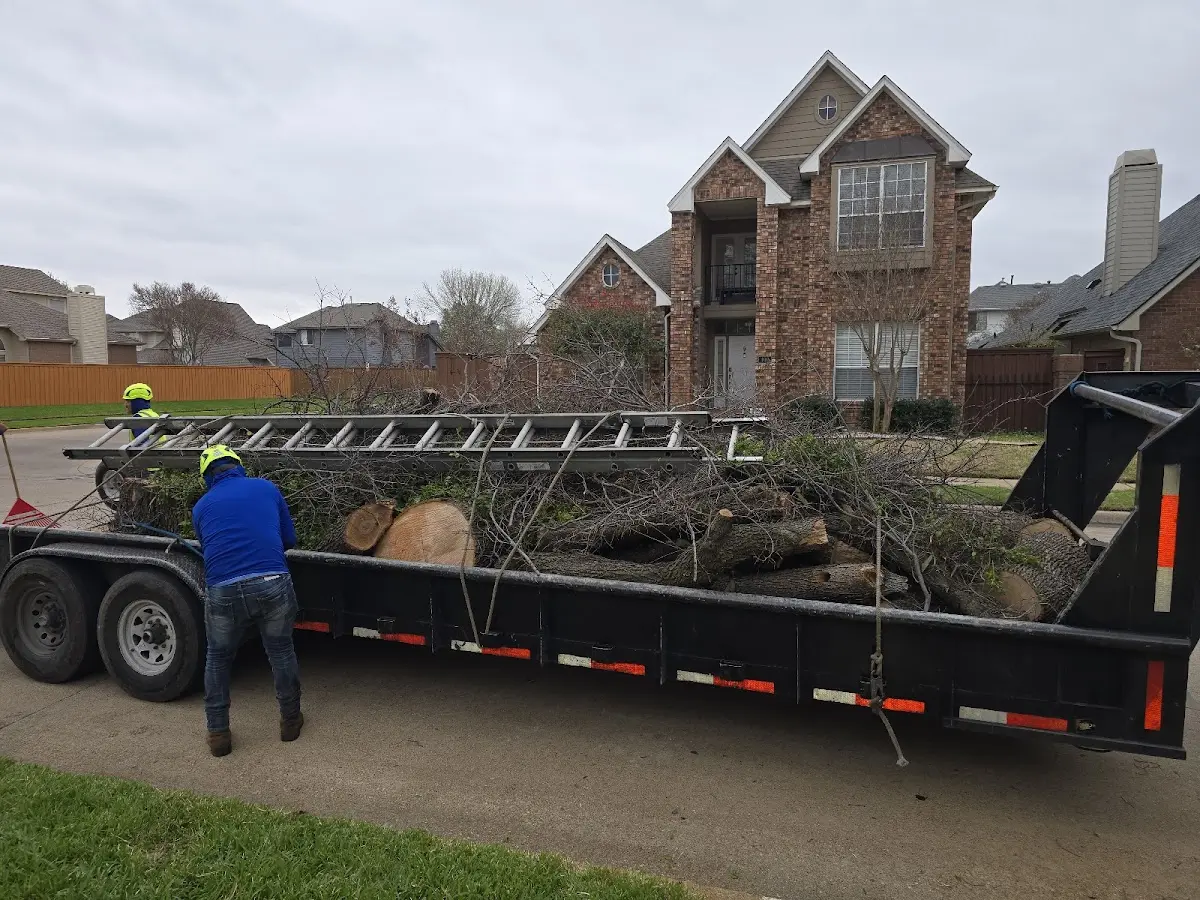 Expert Tree Pest Control with proper safety equipment in Harbert